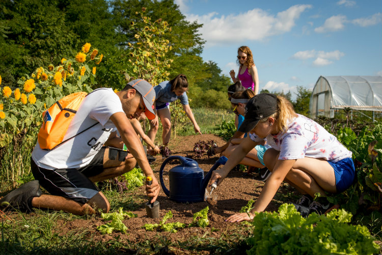 Students volunteering through the Center for Public Service.